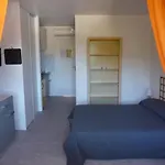 Les Eucalyptus 2*
