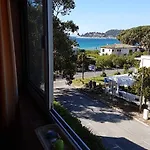 Les Eucalyptus