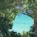 Les Eucalyptus 2*