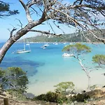 Les Eucalyptus