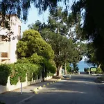 Les Eucalyptus
