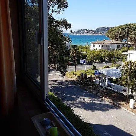 Les Eucalyptus