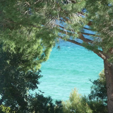 Les Eucalyptus 2*