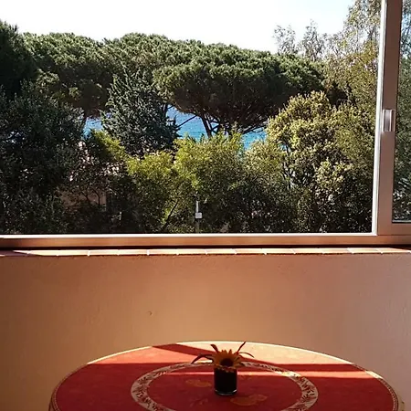 Les Eucalyptus מלון 2*