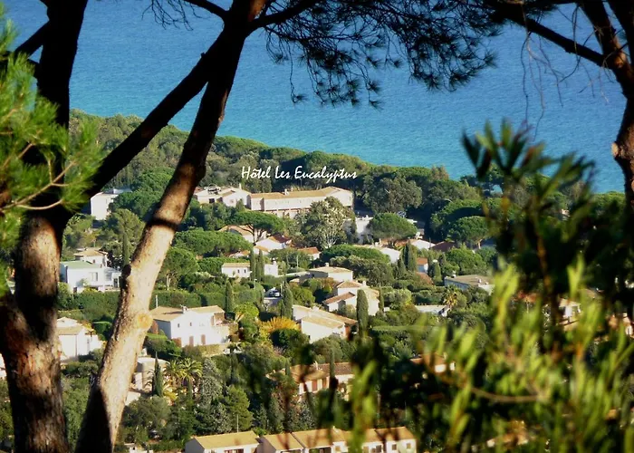 Les Eucalyptus Cavalaire-sur-Mer