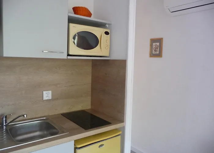 Les Eucalyptus 2*