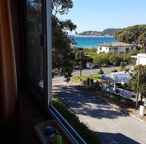 Les Eucalyptus