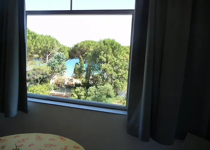 Отель Les Eucalyptus 2*
