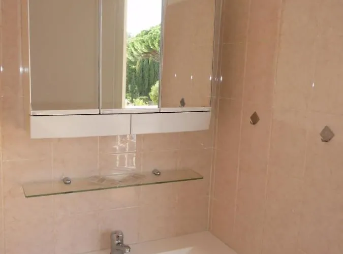 Les Eucalyptus 2*