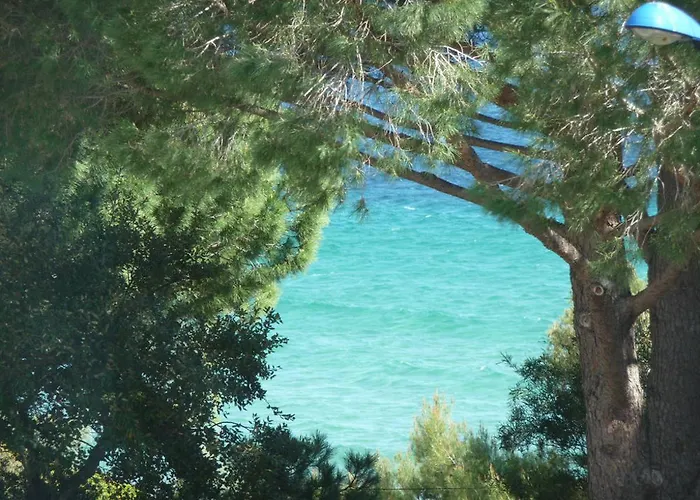 Les Eucalyptus 2*