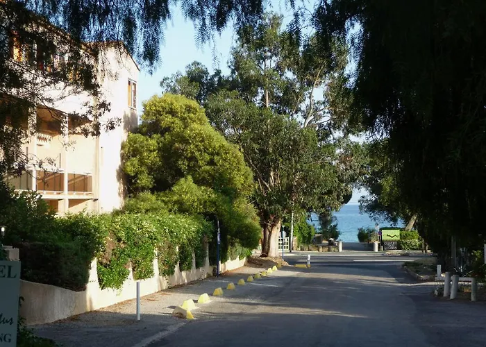 Les Eucalyptus