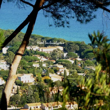 Les Eucalyptus Cavalaire-sur-Mer