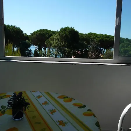 Hotel Les Eucalyptus