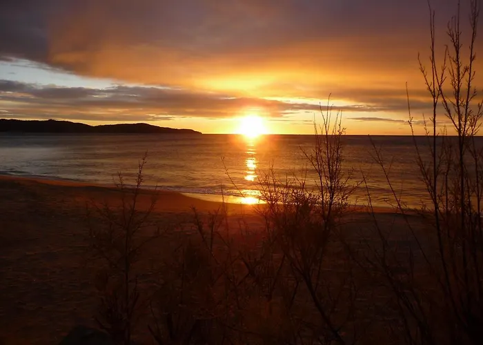 Hotel Les Eucalyptus Cavalaire-sur-Mer